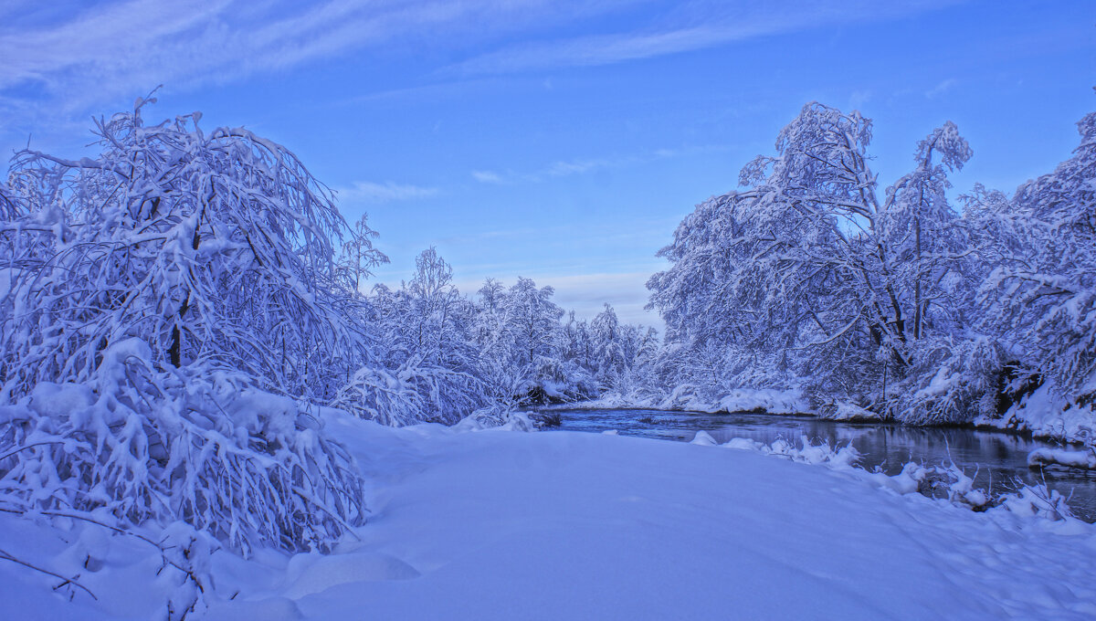 Новогоднее утро---05 - Владимир Холодный
