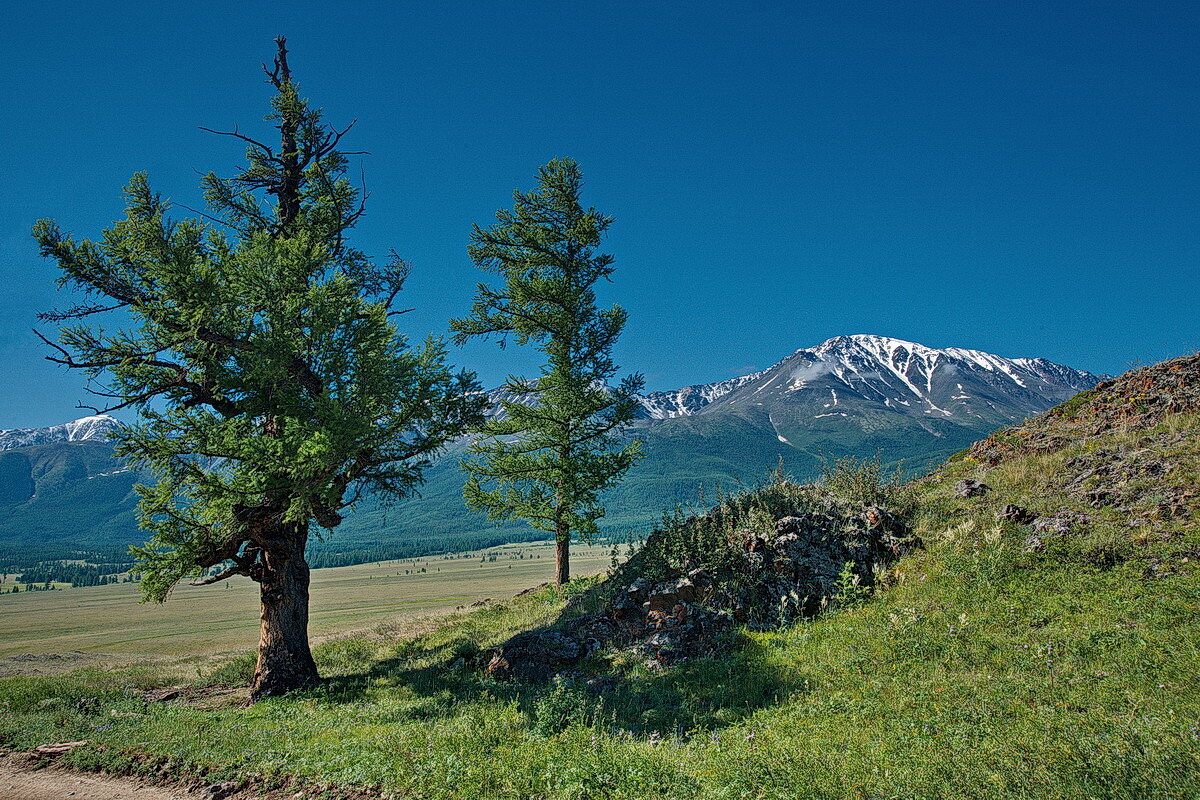 КУРАЙСКАЯ СТЕПЬ И СЕВЕРО-ЧУЙСКИЙ ХРЕБЕТ. По Алтаю 93. - Виталий Половинко
