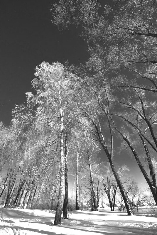 Иней. - Николай 