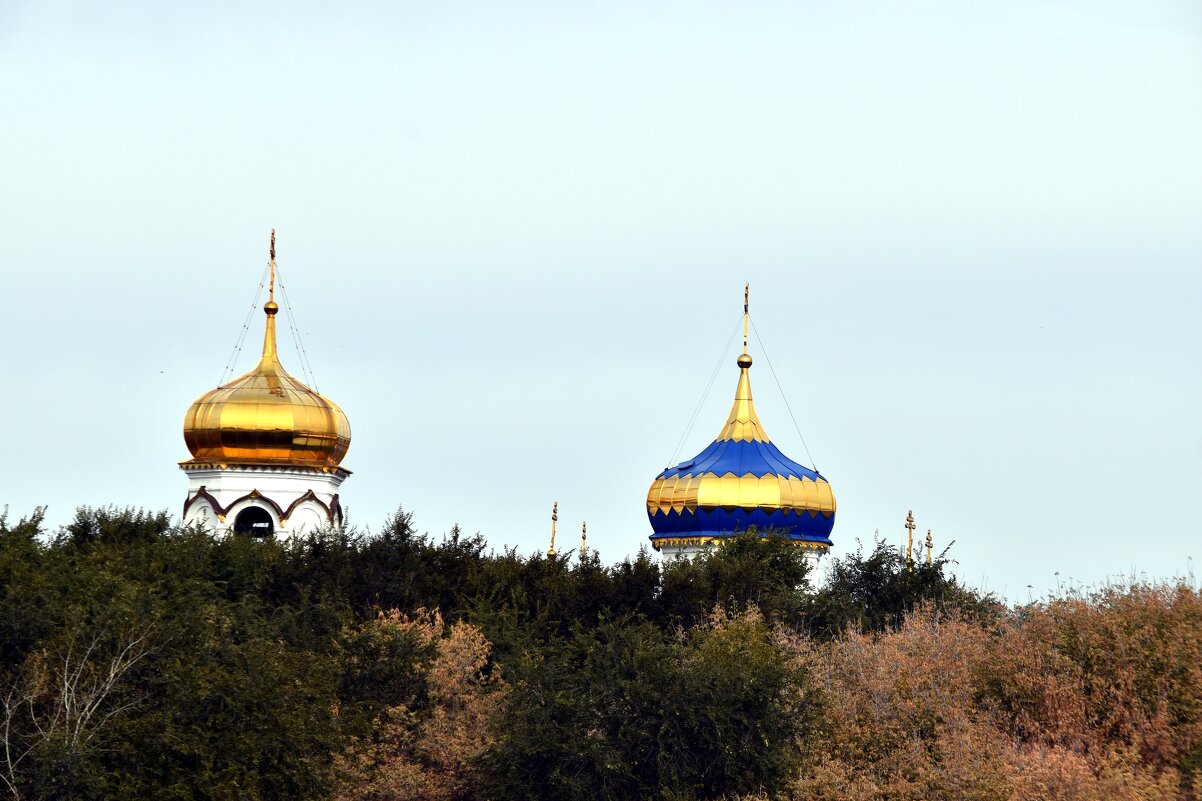 Купола - Дарья Шуклина