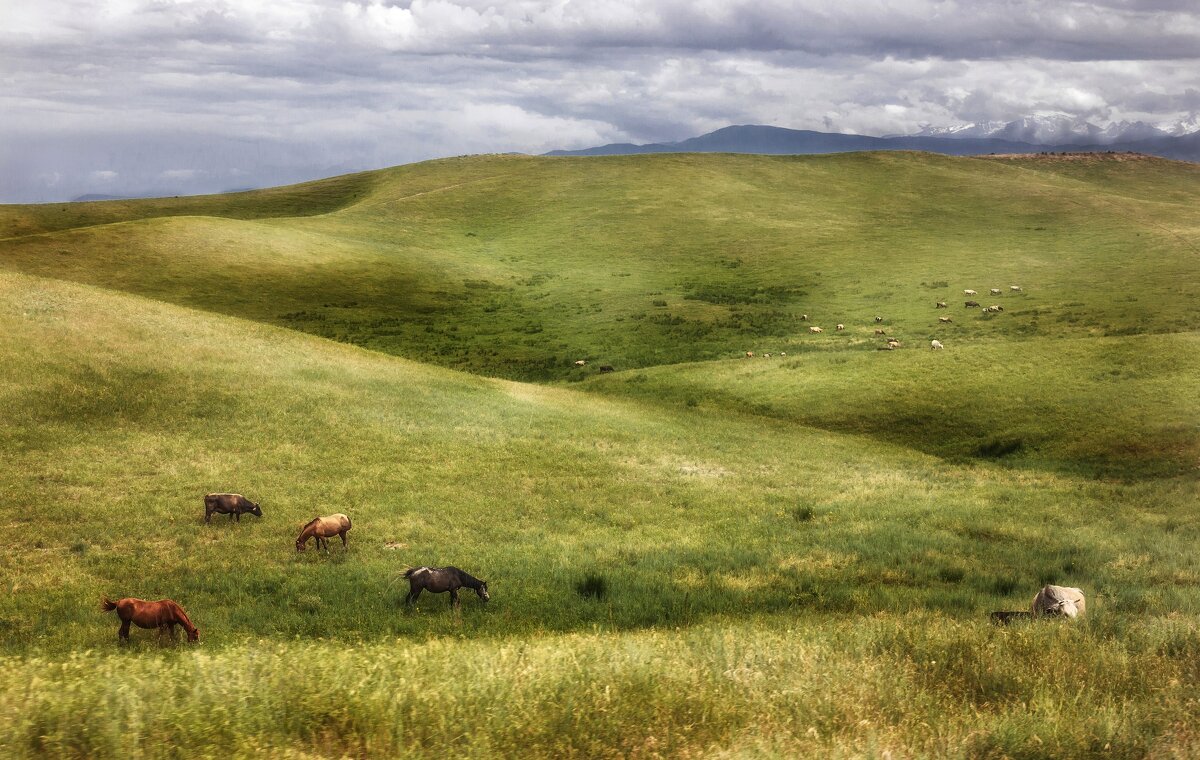 Где-то в горах Казахстана - Надежда 