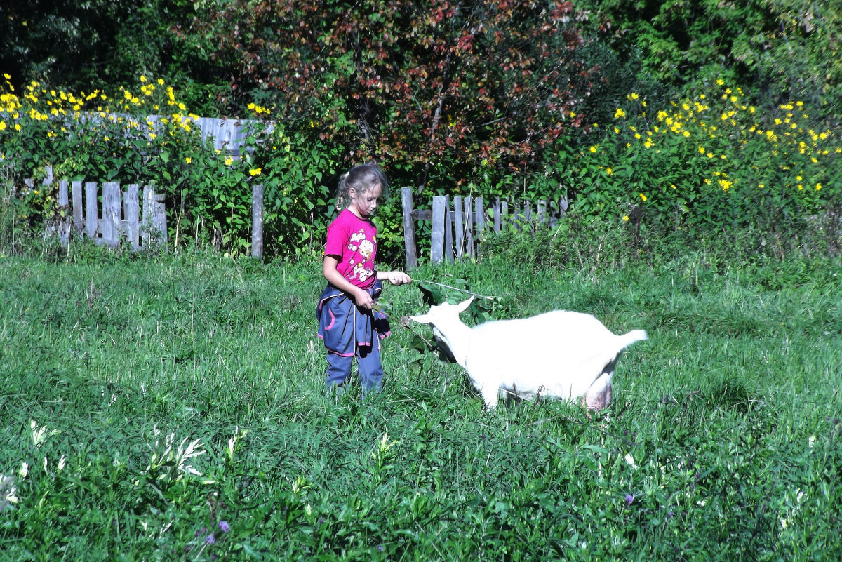 Девочка с козой - Сергей Кочнев