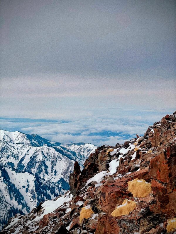 В горах - Георгиевич 