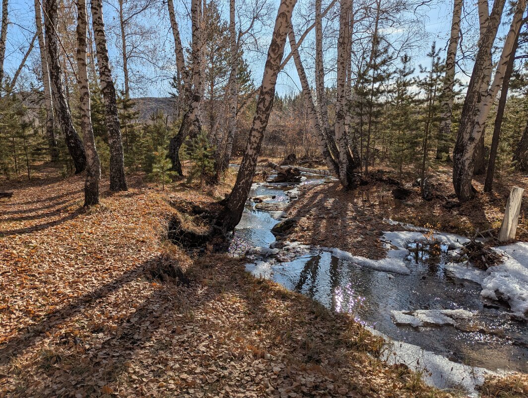 Осень - Андрей Хлопонин