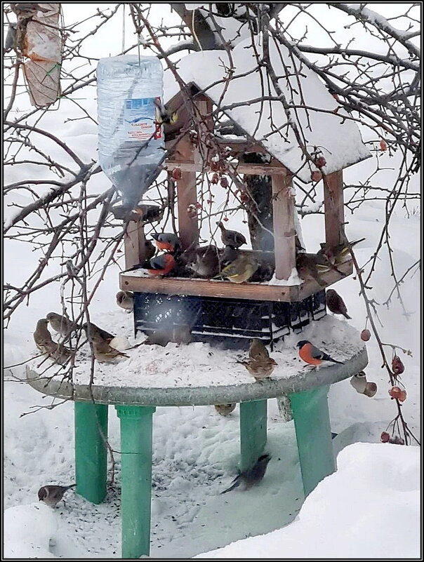 Обед подан! - Ольга Довженко