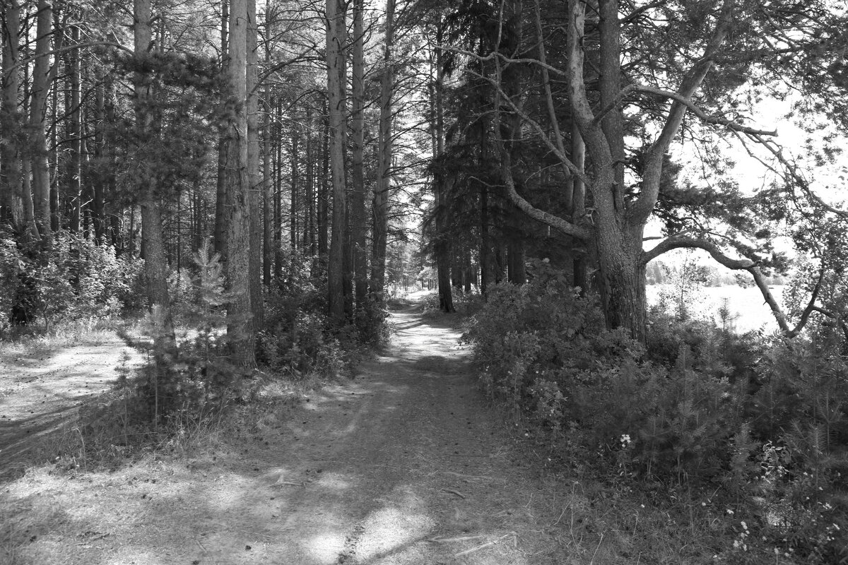 Фотография - Денис Безногов