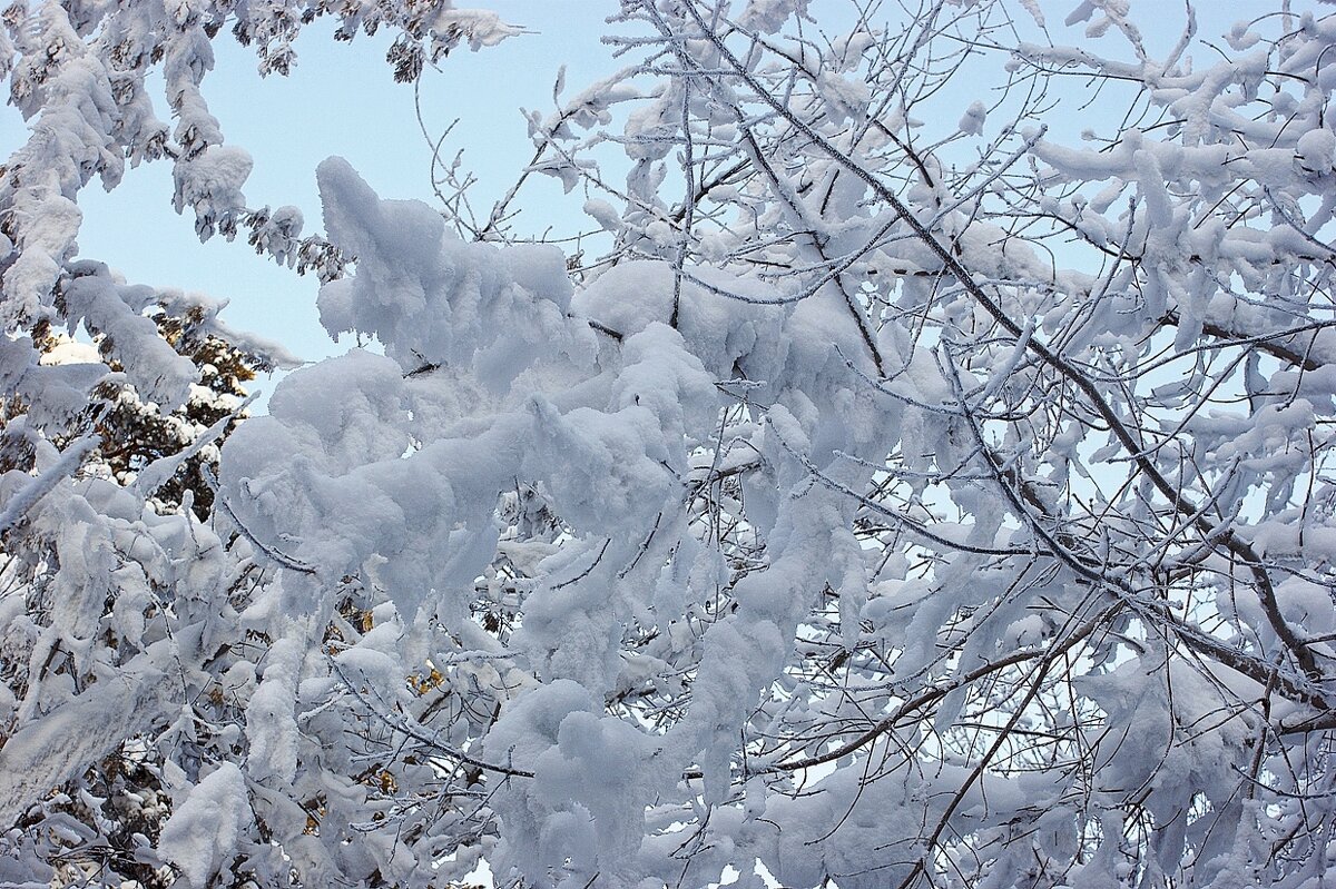 Причуды природы - Галина Нестратова