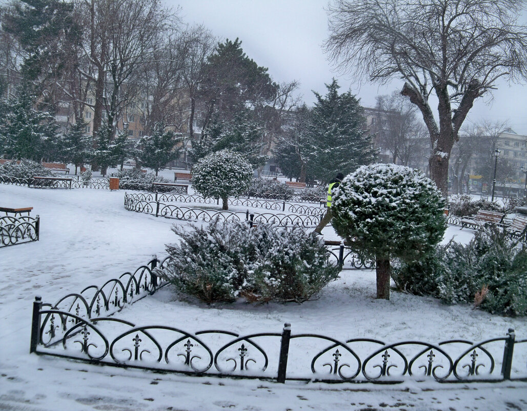 Февраль 06,02,2025 года - Валентин Семчишин