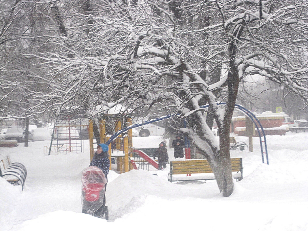 Снежной зимой - Елена Семигина