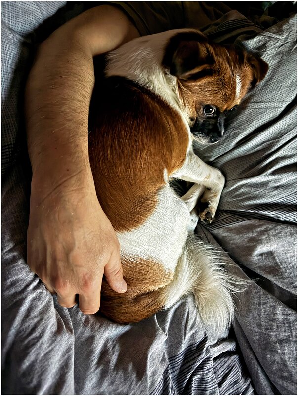 Будем спать..... - Валерия Комова Будем спать..... - Валерия Комова