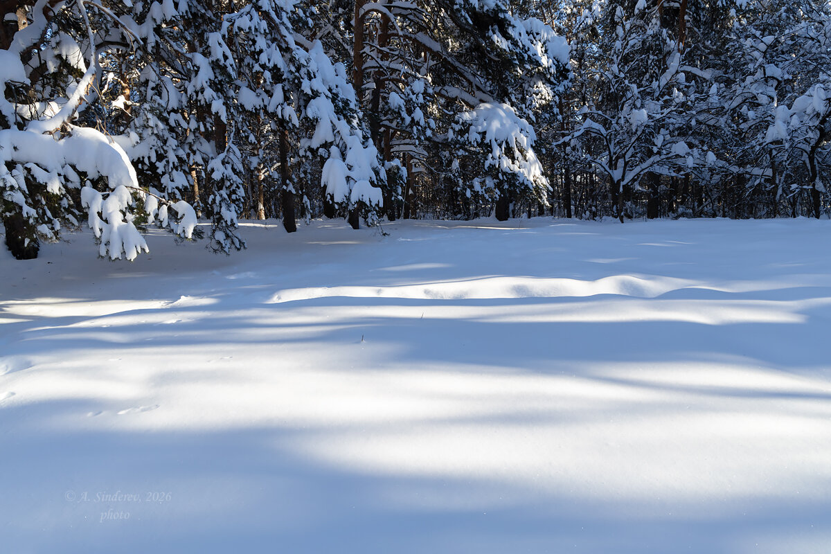 Зимняя природа - Александр Синдерёв