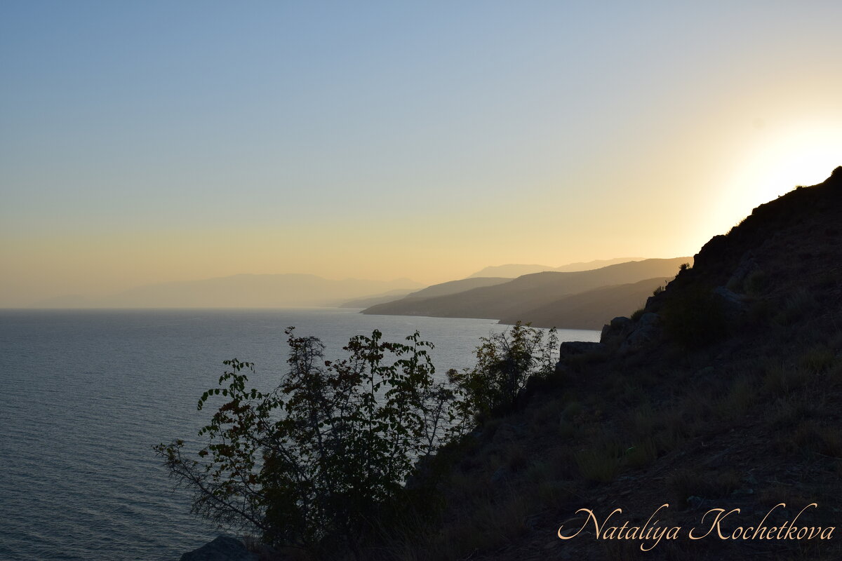 Природа Крыма - Amazing Cosmea