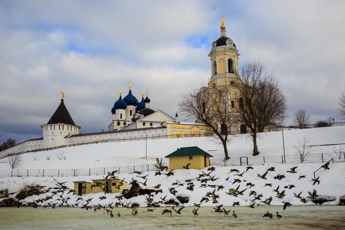 Прилетели - Владимир Гришин
