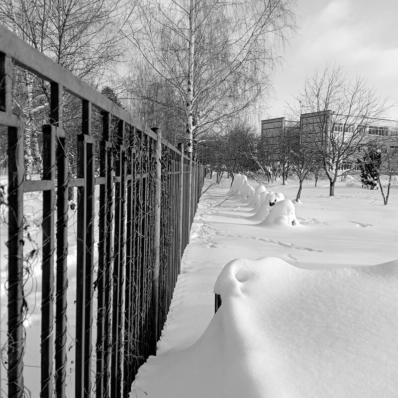 семь снежных солдатиков - Владимир 