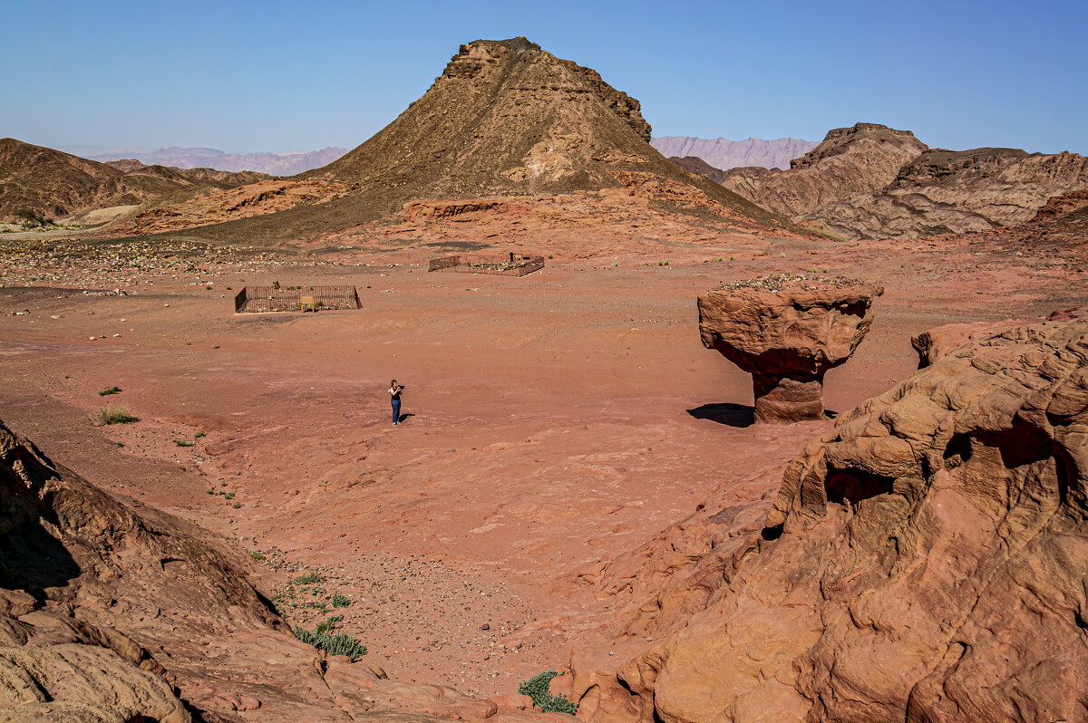 Кадр с грибом - Eugene * Кадр с грибом - Eugene *