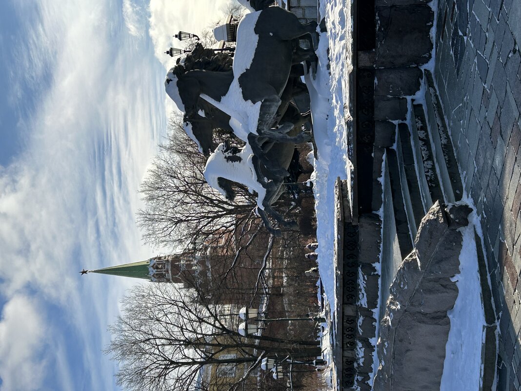 Любимые лошади) - Натали 