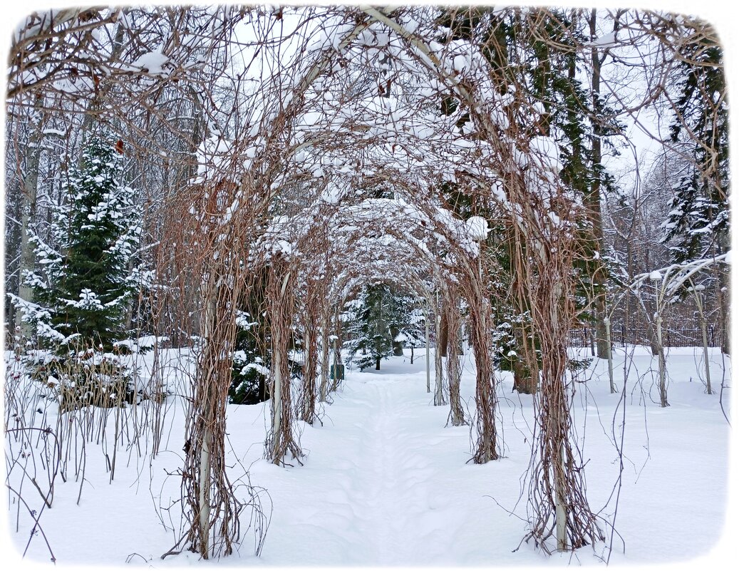 Добро пожаловать снова в зиму! - Лия ☼