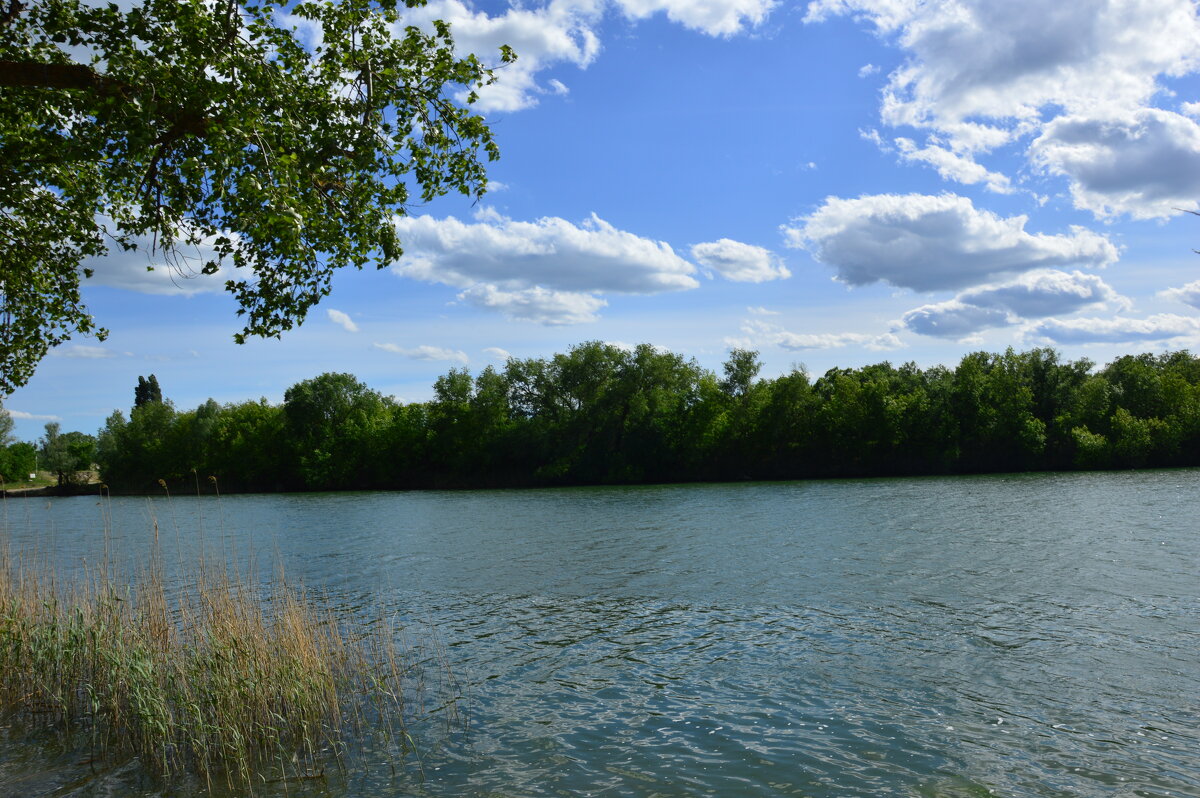 Местная река. - Виктор Местная река. - Виктор
