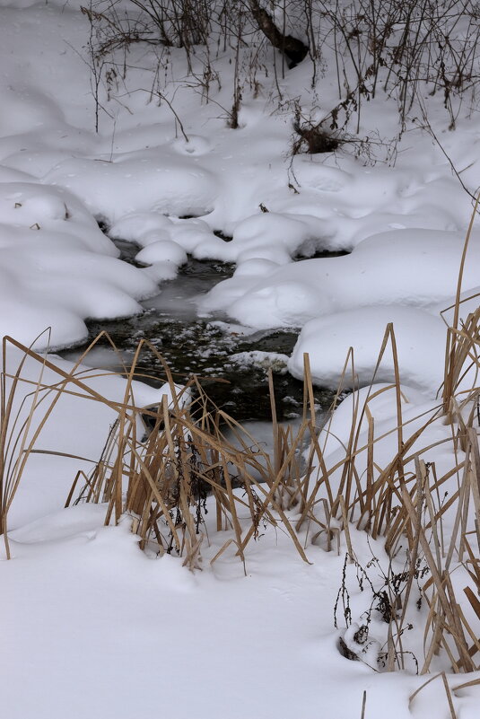 *** - Александр Николаев