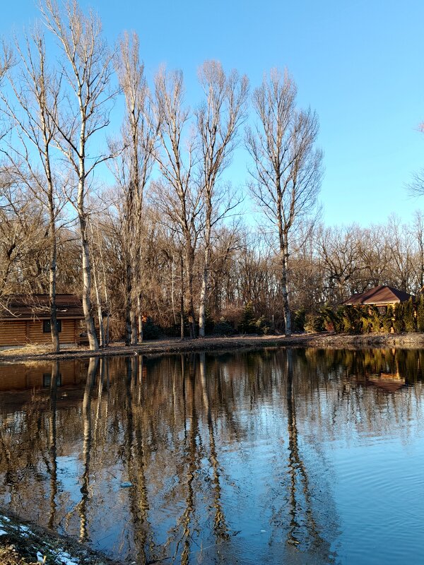 Февраль. Пруд, Отражение в воде - tatyana 