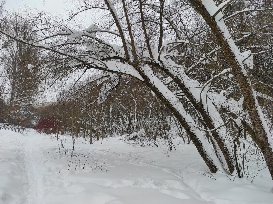 Снежный покой - Игорь Ч.