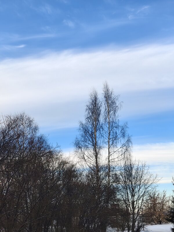 Февраль - Андрей 