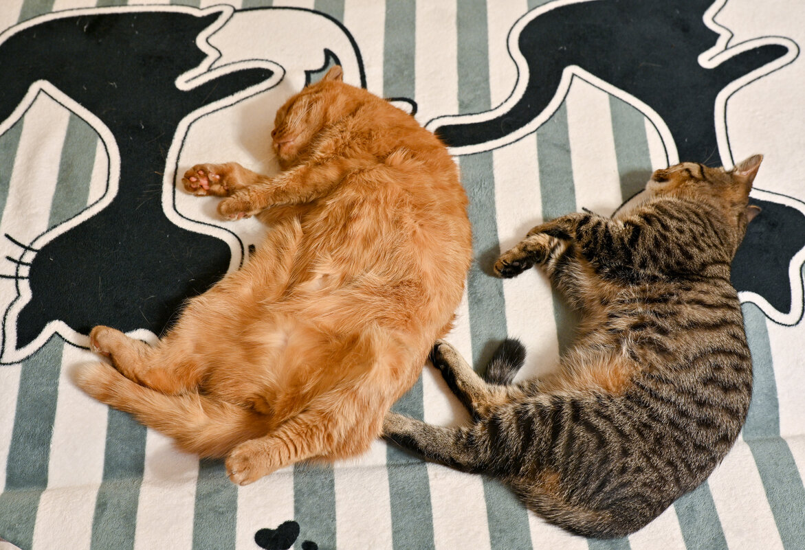 Стар и млад - Вадим 