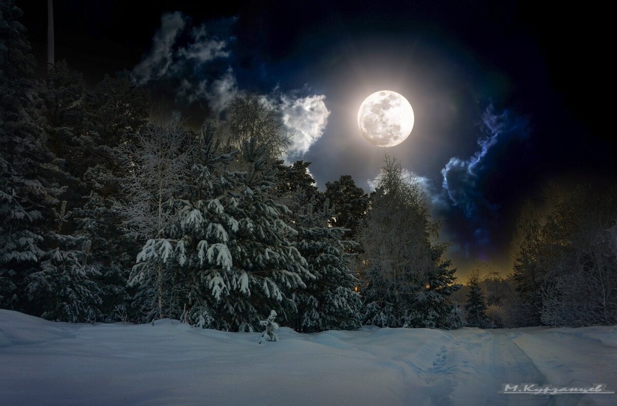 Лунная ночь. - Михаил Курзанцев