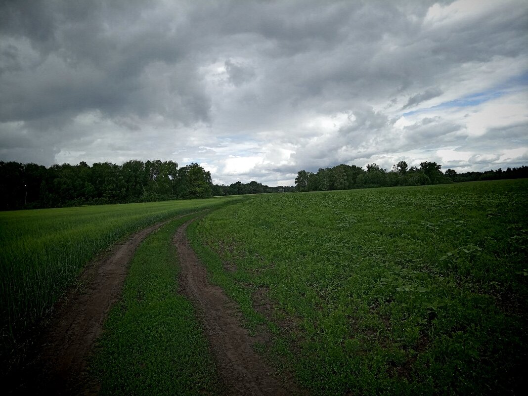 Хмурый день - Надежда 