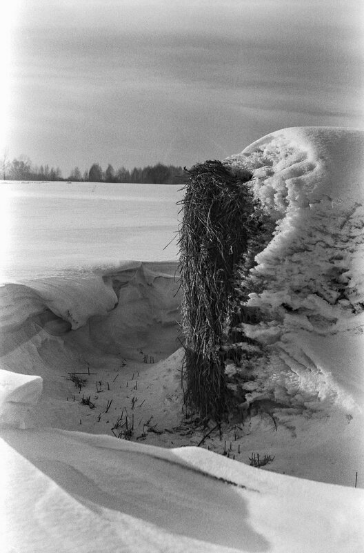 В зимнем поле. - Михаил Соколов