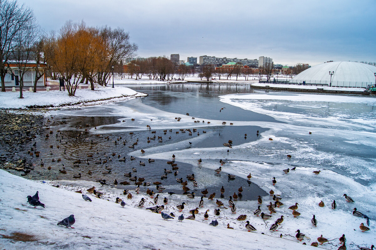 Царицыно - IRinA*** 