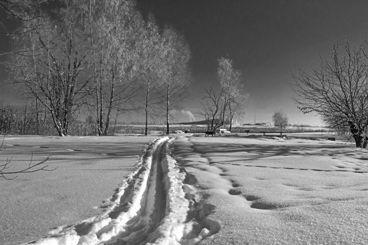 Б/Н - Николай 