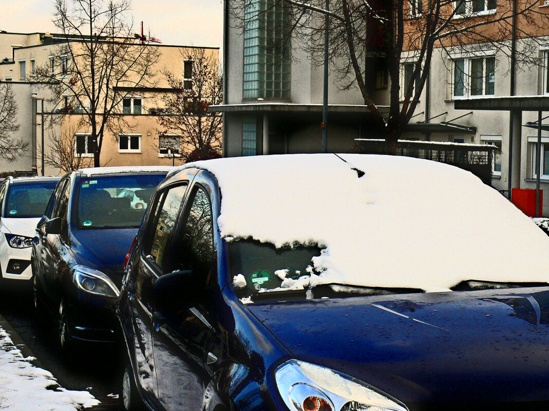 Южная зима - 31 - Алексей Кузнецов