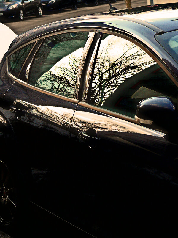 Южная зима - 34 - Алексей Кузнецов