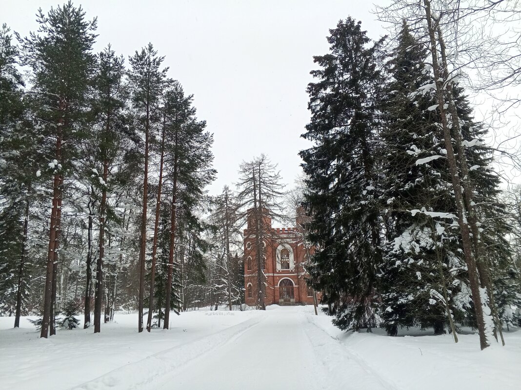 Зима - Сапсан 