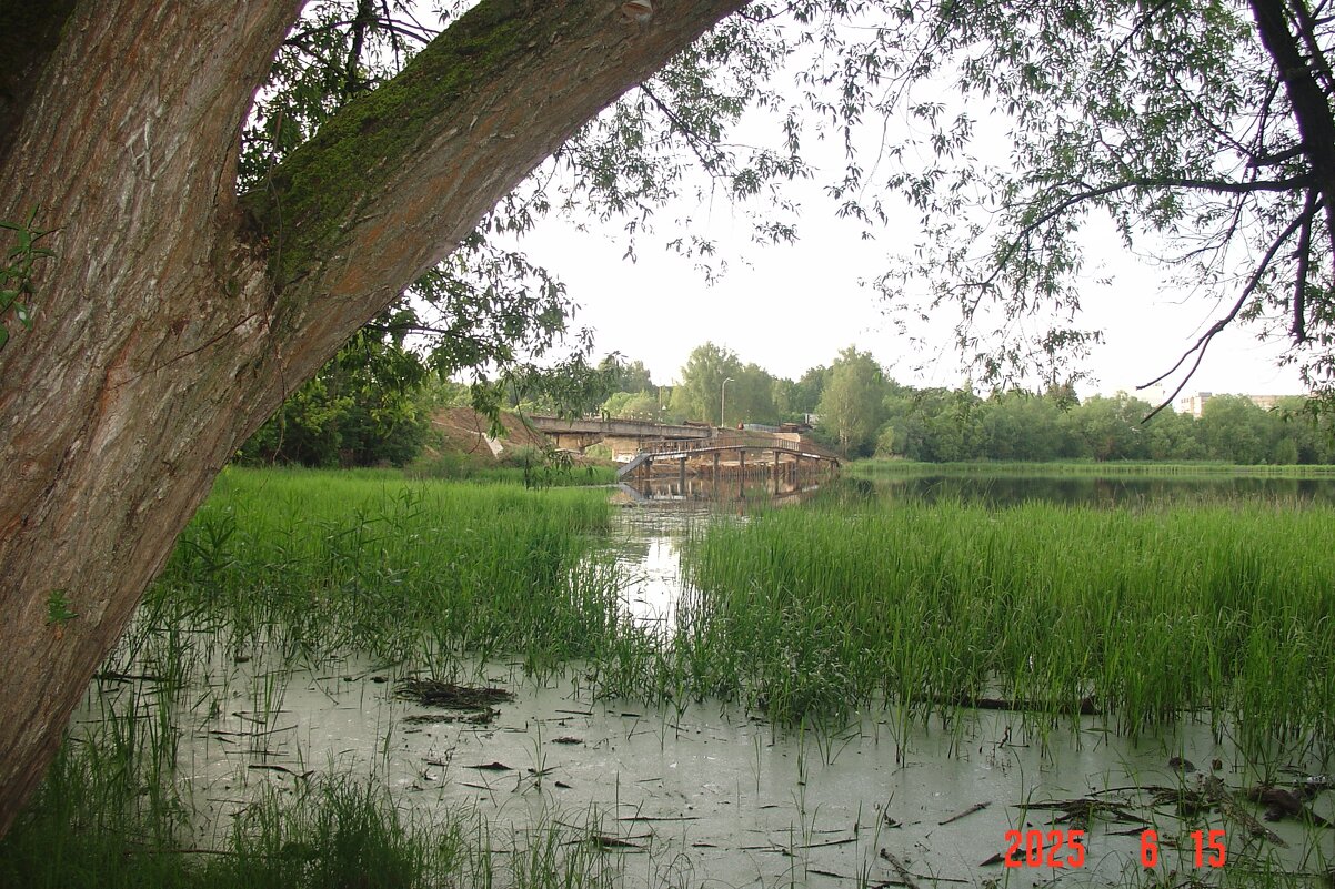 без названия - fogmeadowww m