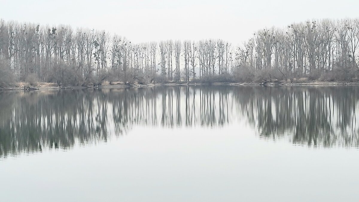 Унылый январь - Алла Булашевская