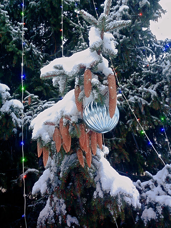 Шашки - Сергей Кочнев