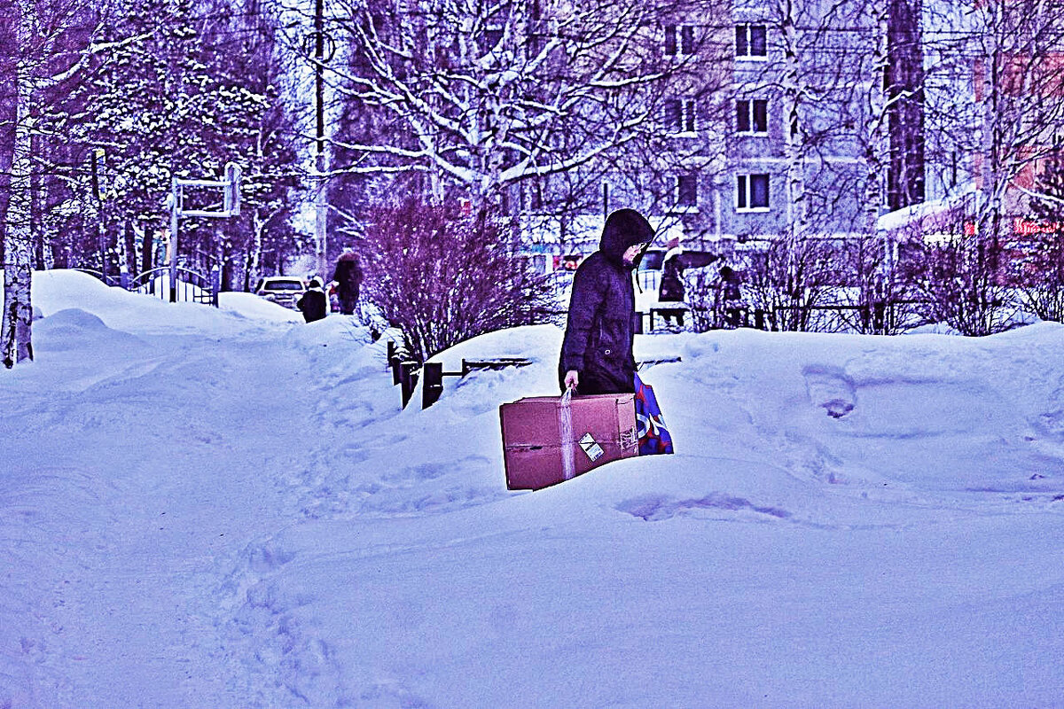 Февраль..Среди сугробов- с покупкой! - Владимир 