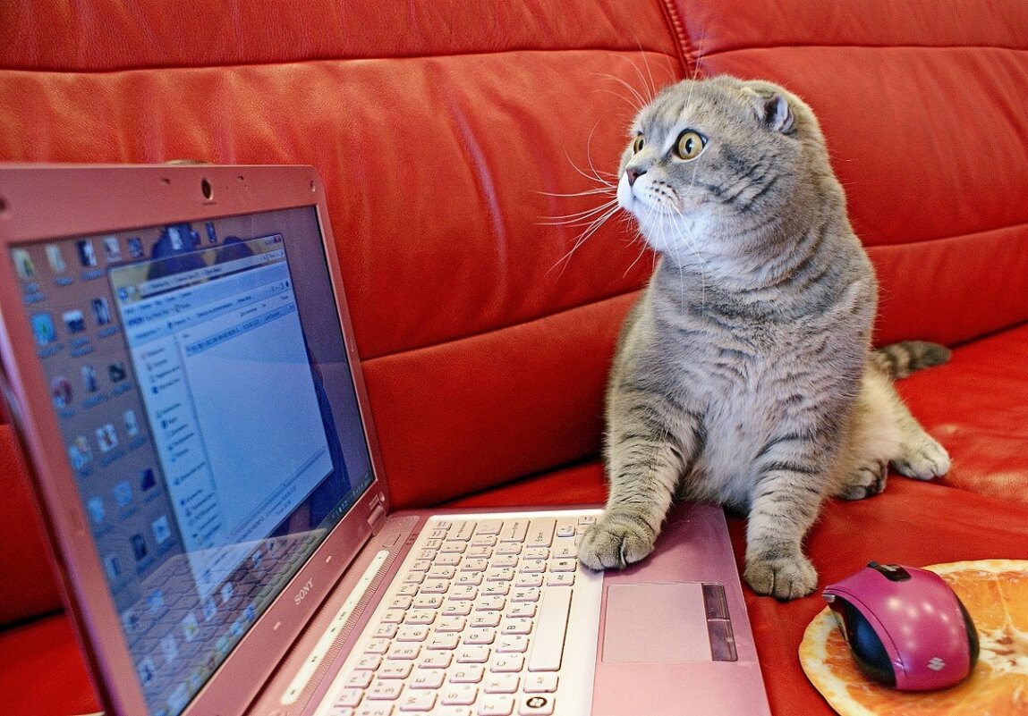 Не может быть! От нее пришло письмо! - Галина Нестратова