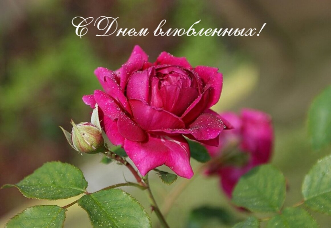 С Праздником! - Галина Нестратова