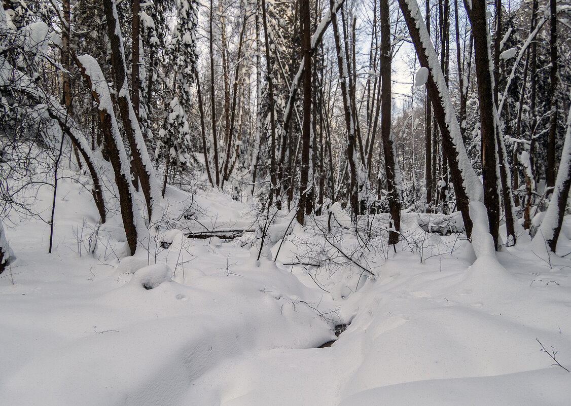 Ручей под снегом - Сергей Цветков