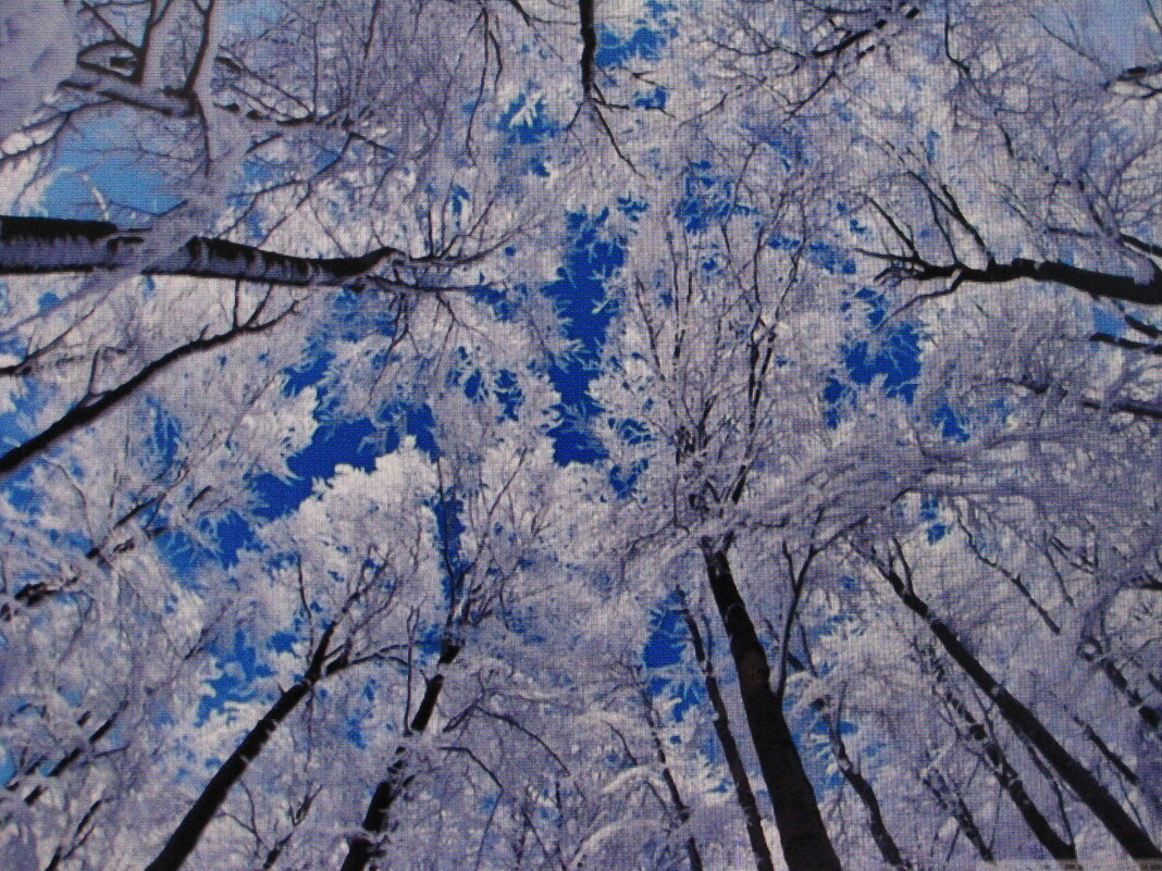 Уходящие в высь - Людмила Смородинская