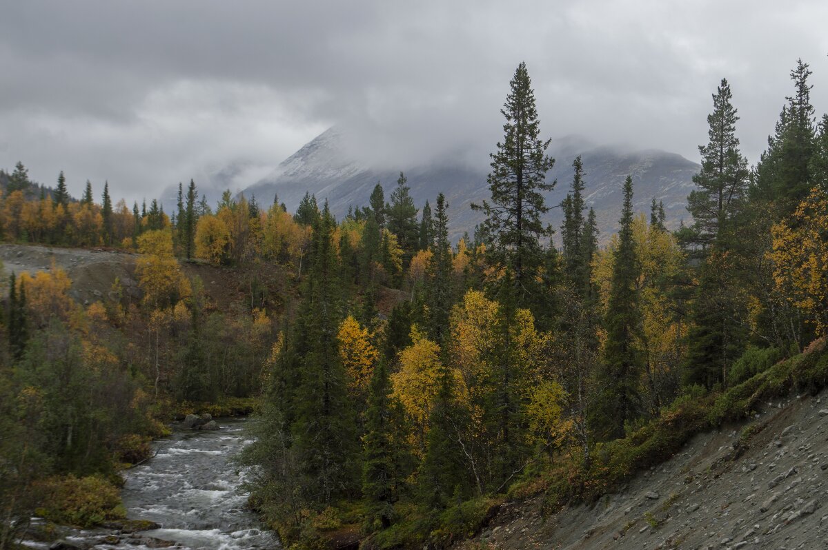 Заполярная  осень........ - Юрий Цыплятников