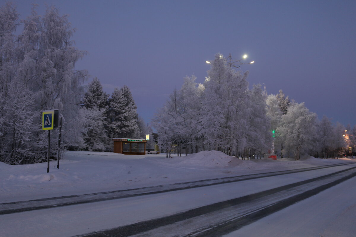 Зимние сумерки - Ольга 
