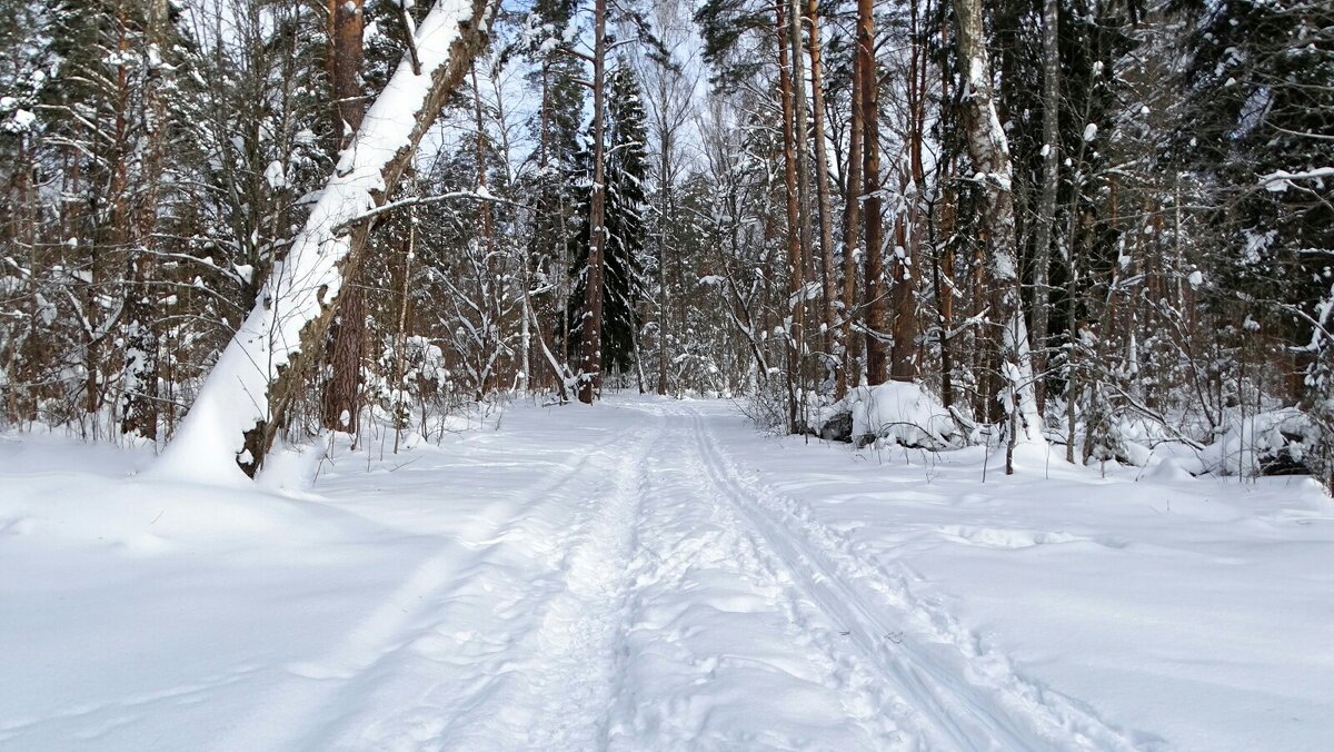 Зима в феврале. - Милешкин Владимир Алексеевич 