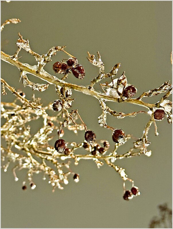 Идёт ледяной дождь. - Валерия Комова