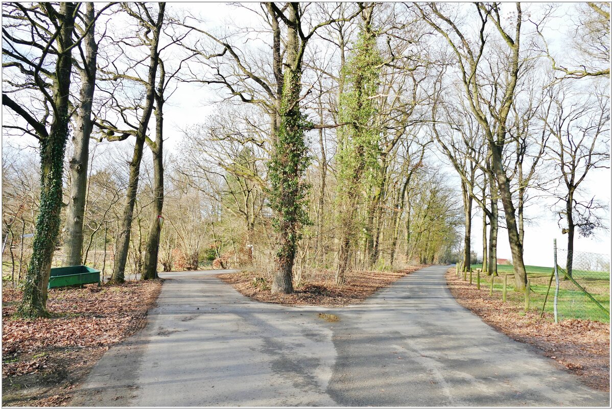 ДОРОГИ... - Elvira E. ДОРОГИ... - Elvira E.