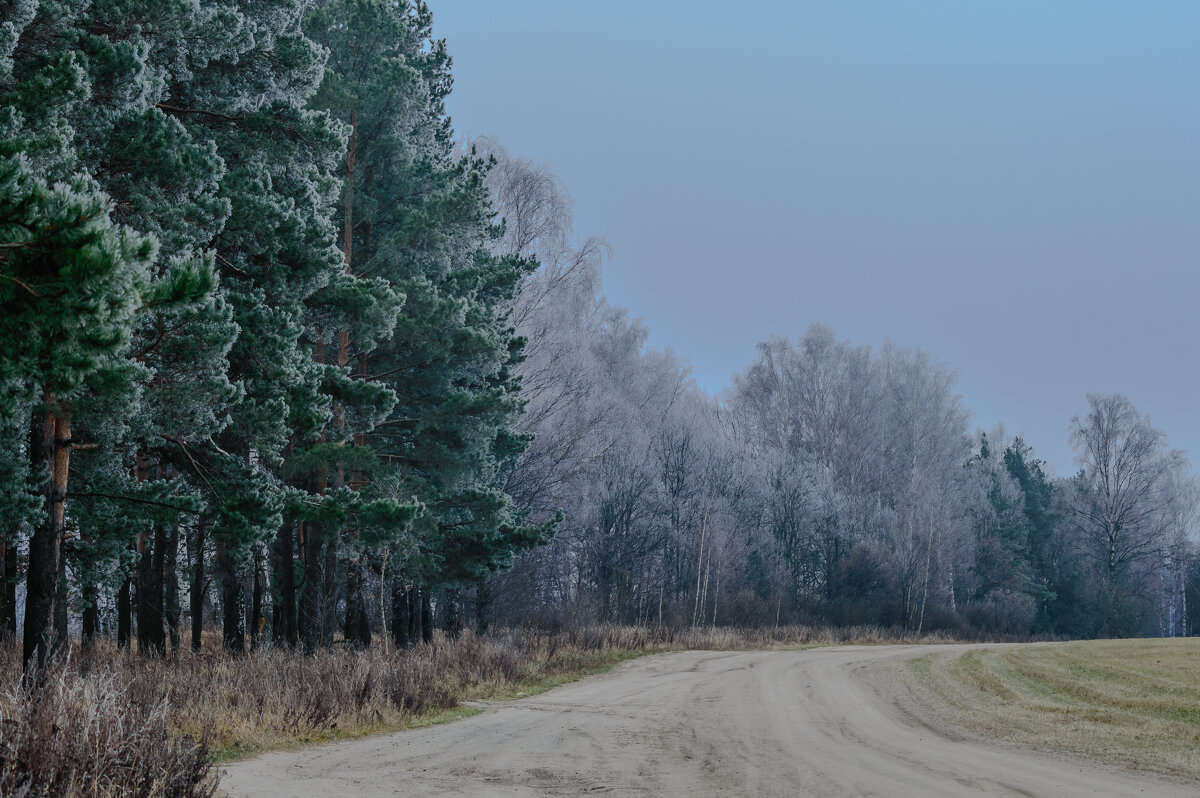 Ноябрь. - Андрей Андрианов