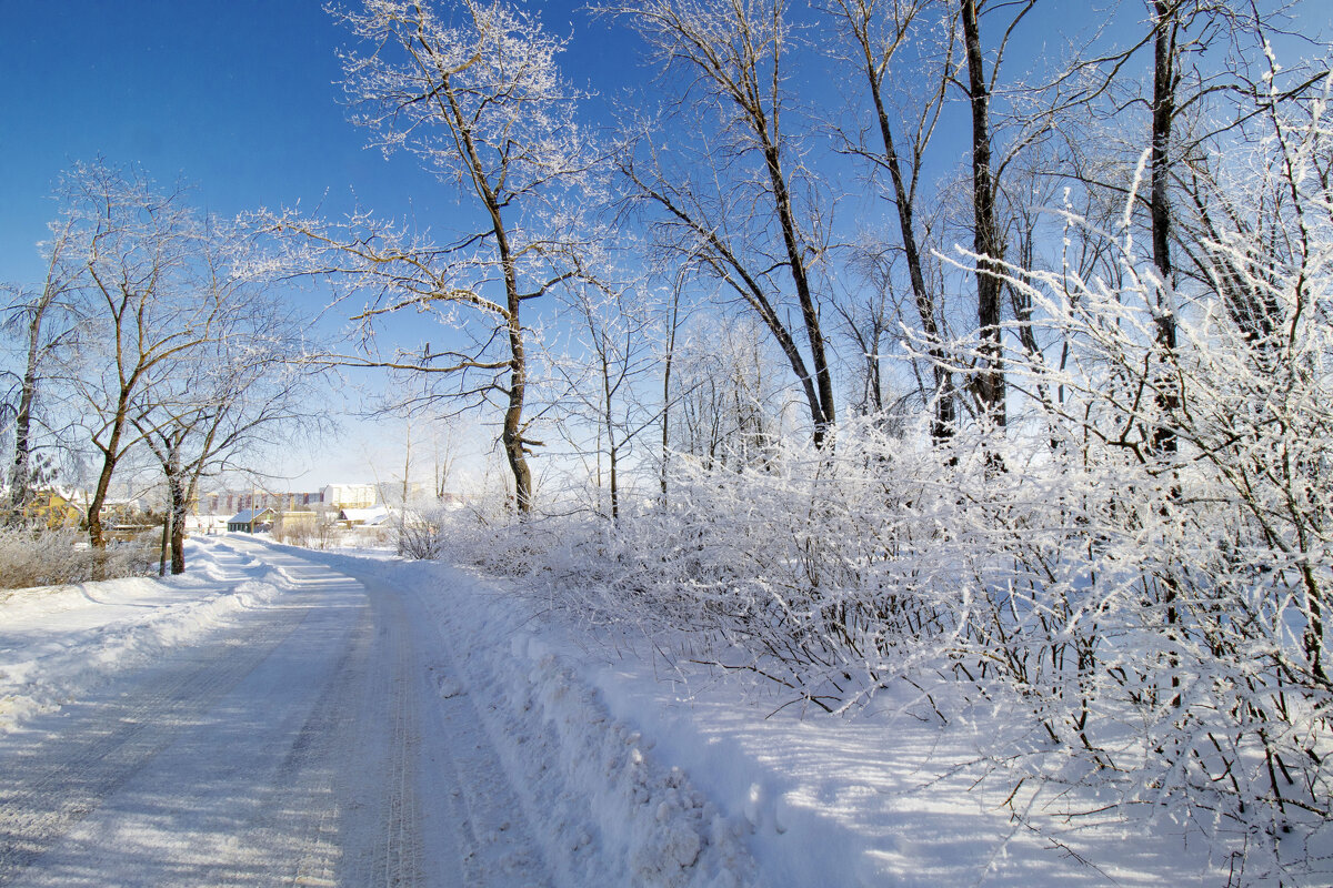 б/н - Николай 